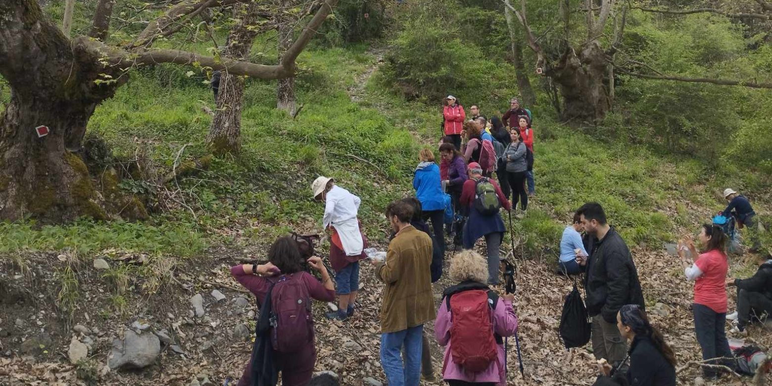 Πάμε Πεζοπορία…Πάμε Λογγούς