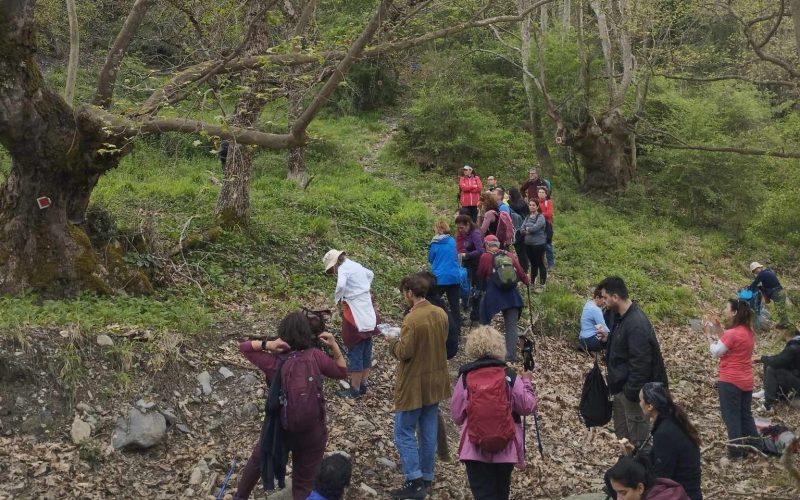 Πάμε Πεζοπορία…Πάμε Λογγούς