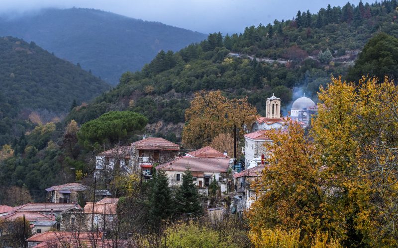 Φεβρουάριος στη Βαμβακού!