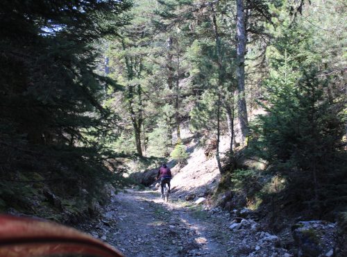 Mountain biking adventures