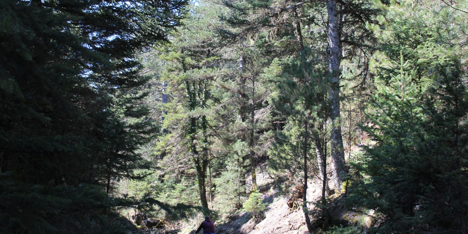 Cycling in the mountains