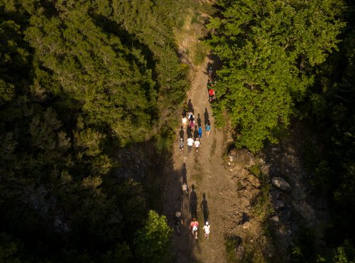 Πάμε πεζοπορία… Πάμε Λογγούς